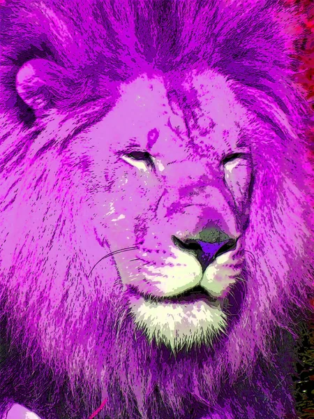 Lion Illustration Pop Art Background Color Spots — стоковое фото
