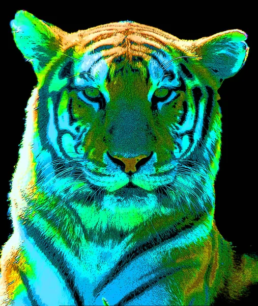 Tiger Illustration Pop Art Background — Fotografia de Stock