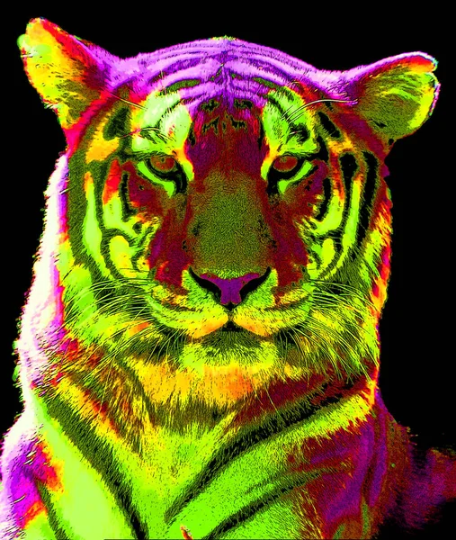 Tiger Illustration Pop Art Background — 스톡 사진
