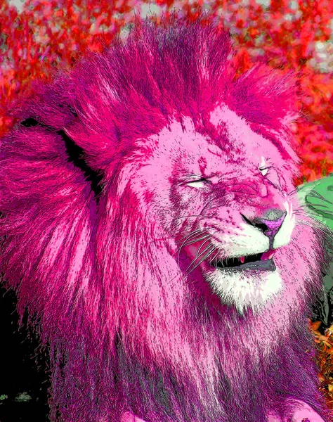 Lion Illustration Pop Art Background Color Spots — Φωτογραφία Αρχείου