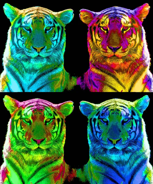 Tiger Illustration Pop Art Background — Photo
