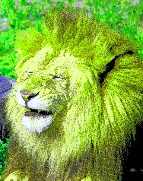 Lion Illustration Pop Art Background Color Spots — Fotografia de Stock