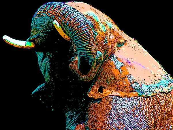 Pop Art Ελέφαντα Εικονίδιο Κηλίδες Χρώμα — Φωτογραφία Αρχείου