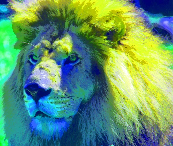 Löwenzeichen Illustration Pop Art Hintergrund Symbol Mit Farbflecken — Stockfoto