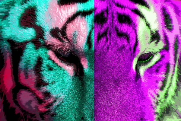 타이거 Tiger Pop Art Background Icon Color Spot — 스톡 사진