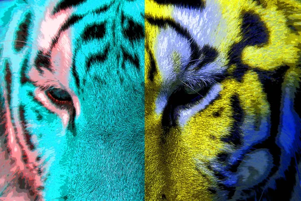 Tiger Segno Illustrazione Pop Art Icona Sfondo Con Macchie Colore — Foto Stock