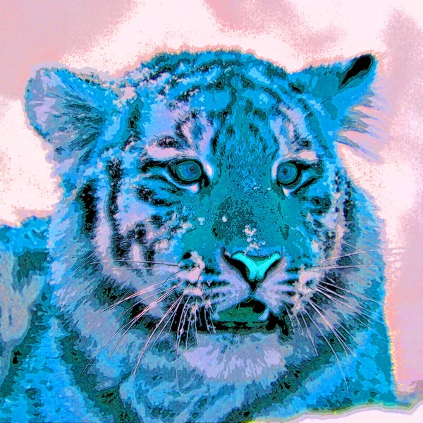 Tiger Σύμβολο Εικονογράφηση Pop Art Εικονίδιο Φόντου Κηλίδες Χρώματος — Φωτογραφία Αρχείου