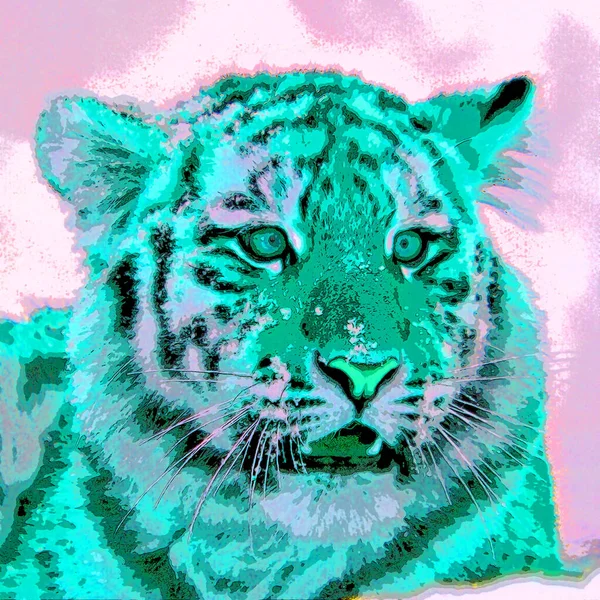 Tiger Signe Illustration Pop Art Icône Fond Avec Des Taches — Photo