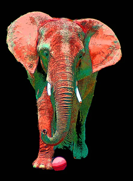 Elefante Signo Ilustración Pop Art Icono Fondo Con Manchas Color —  Fotos de Stock