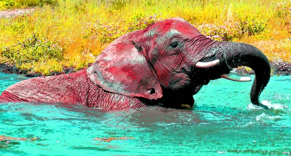 Elephant Sign Illustration Pop Art Background Icon Color Spots — Stock Photo, Image