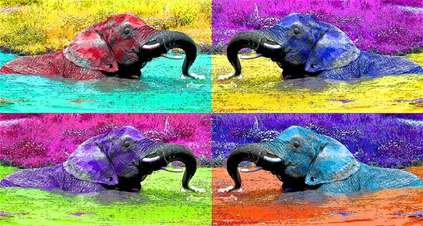 Слон Знак Ілюстрація Поп Арт Значок Тла Кольоровими Плямами — стокове фото