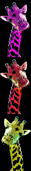 Giraffe illustration pop-art background