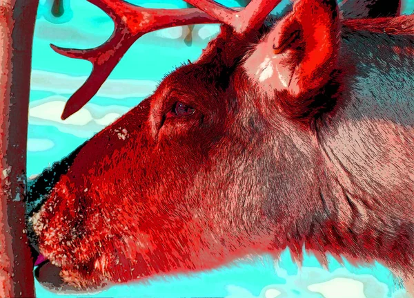 Deer Illustration Pop Art Background — 스톡 사진