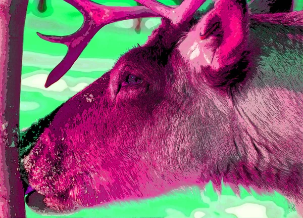 Deer Illustration Pop Art Background — Photo
