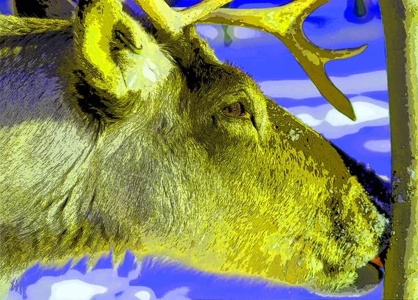 Deer Illustration Pop Art Background — Stockfoto
