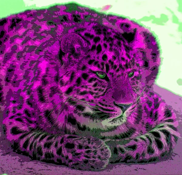 Εικονογράφηση Σύμβολο Jaguar Pop Art Φόντο Εικονίδιο Κηλίδες Χρώματος — Φωτογραφία Αρχείου