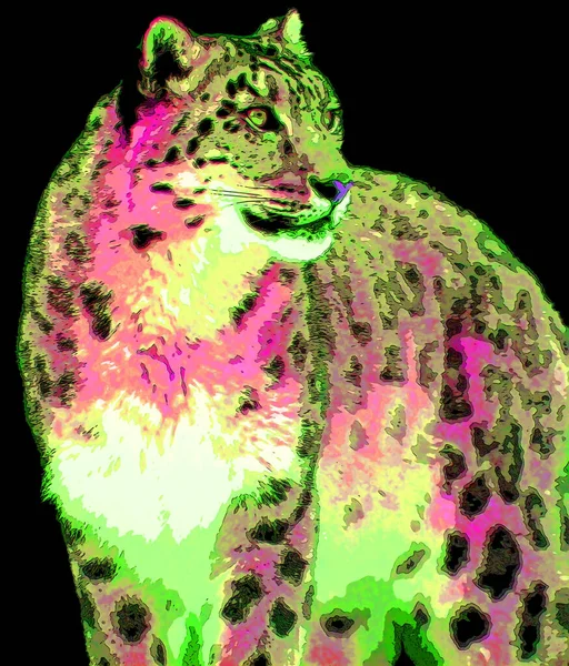 Jaguar Teken Illustratie Pop Art Achtergrond Pictogram Met Kleurvlekken — Stockfoto