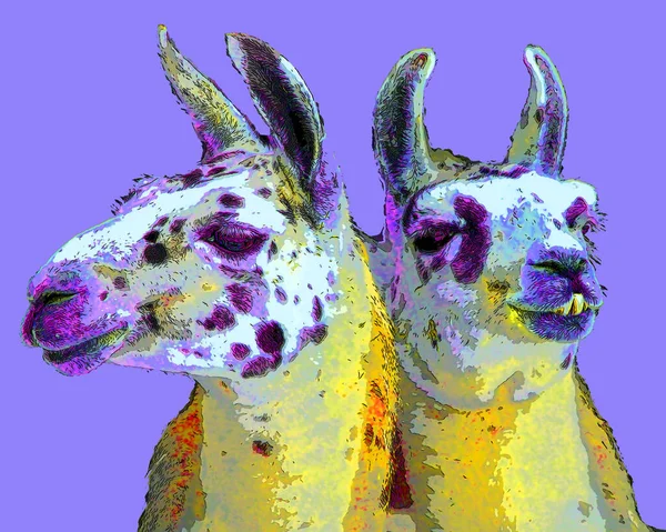Illustration Llamas Pop Art Background — Stock fotografie