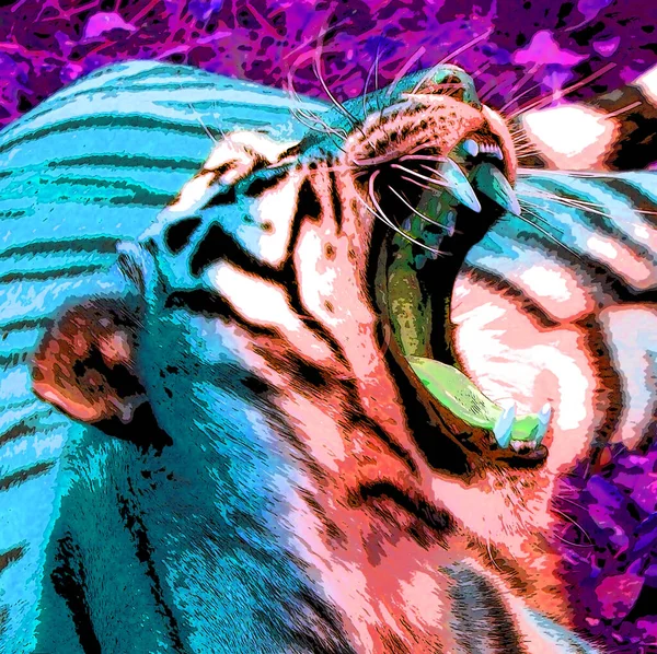 타이거 Tiger Pop Art Background Icon Color Spot — 스톡 사진