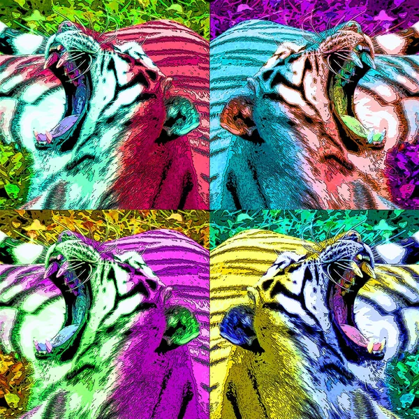 Tiger Zeichen Illustration Pop Art Hintergrund Symbol Mit Farbflecken — Stockfoto