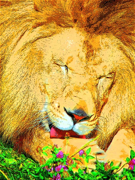 Lion Illustration Pop Art Background Color Spots —  Fotos de Stock