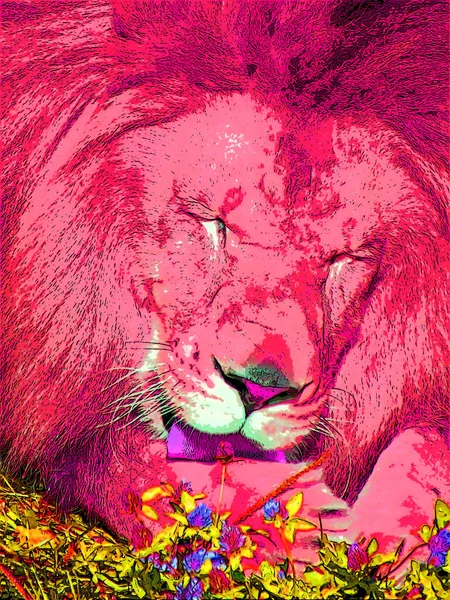 lion illustration pop-art background with color spots