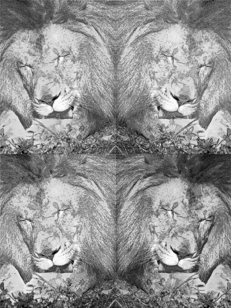 Lion Illustration Pop Art Background Color Spots — стоковое фото