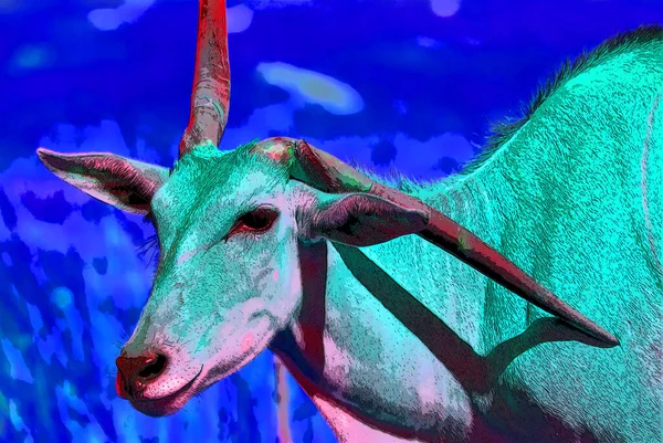 เอลแลนด ภาพหร Tragelaphus Oryx แอนต โลปท ใหญ ดในโลก — ภาพถ่ายสต็อก