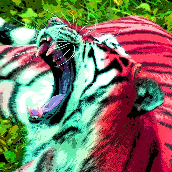 Tigre Signo Ilustración Pop Art Icono Fondo Con Manchas Color — Foto de Stock