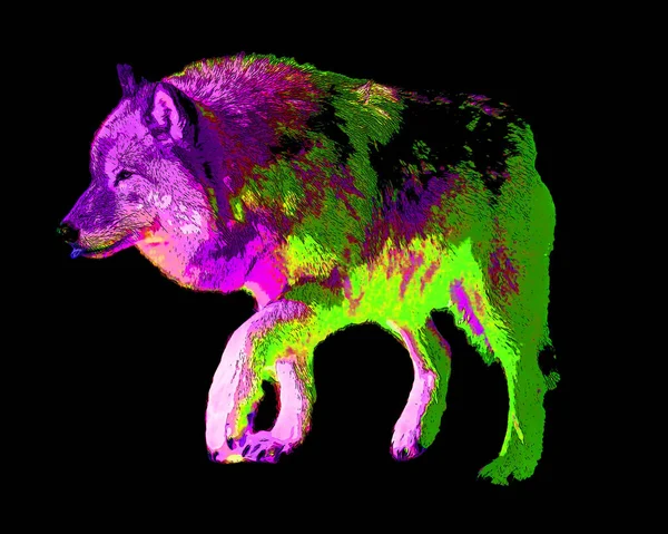 Wolf Illustration Pop Art Background Color Spots — Stock Fotó