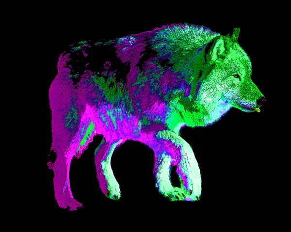 Wolf Illustration Pop Art Background Color Spots — Stock Fotó