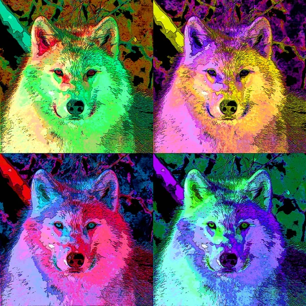 Wolf Illustration Pop Art Background Color Spots — стоковое фото