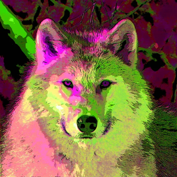 Wolf Illustration Pop Art Background Color Spots — Stock fotografie