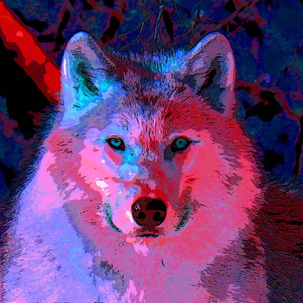 Wolf Illustration Pop Art Background Color Spots — Stockfoto