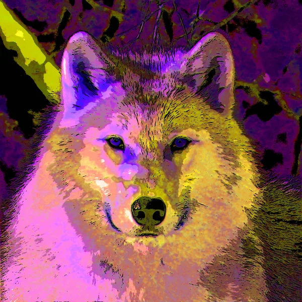 Wolf Illustration Pop Art Background Color Spots — 图库照片
