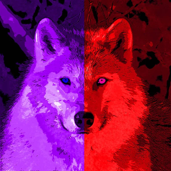 Wolf Illustration Pop Art Background Color Spots — Zdjęcie stockowe