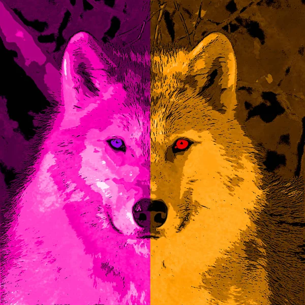 Wolf Illustration Pop Art Background Color Spots — 图库照片