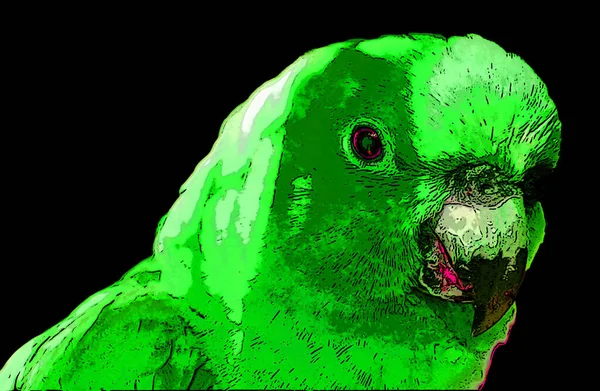 Parrot Illustration Pop Art Background Color Spots — Φωτογραφία Αρχείου