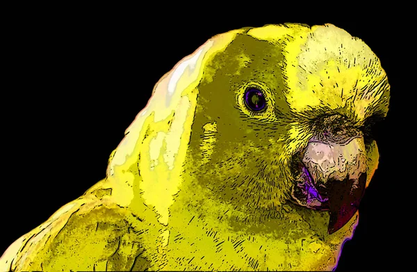 Parrot Illustration Pop Art Background Color Spots — ストック写真
