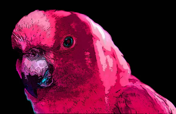 Parrot Illustration Pop Art Background Color Spots — Photo