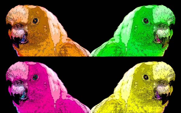 Papegaai Illustratie Pop Art Achtergrond Met Kleur Vlekken — Stockfoto