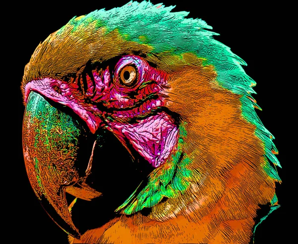 Parrot Illustration Pop Art Background Color Spots — Stok fotoğraf