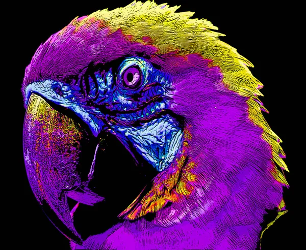 Parrot Illustration Pop Art Background Color Spots — Stockfoto