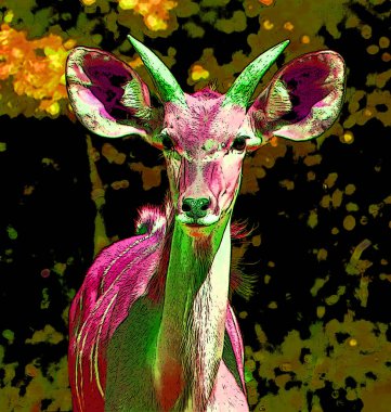 Güney antilop olarak da bilinen antilop, Doğu ve Güney Afrika 'da bulunan bir bozkır ve antilop türüdür.