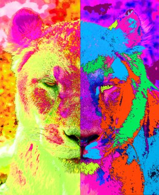 Aslan çizimi renk benekli pop-art arkaplan