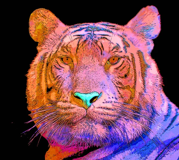 Tiger Illustration Pop Art Background Color Spots — 스톡 사진