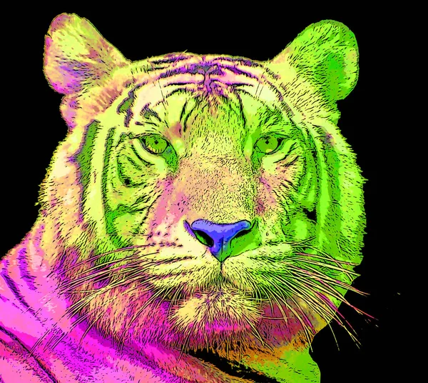 Tiger Illustration Pop Art Background Color Spots — 스톡 사진