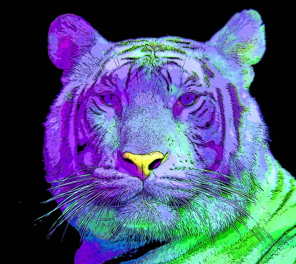 Tigris Illusztráció Pop Art Háttér Színes Foltok — Stock Fotó