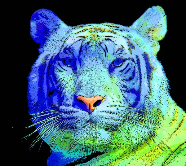 Tiger Illustration Pop Art Background Color Spots — Stok fotoğraf