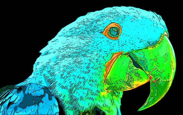 Parrot Illustration Pop Art Background Color Spots — Foto Stock